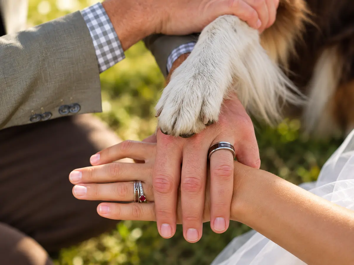 Newlyweds' hands with wedding rings stacked beneath their dog's paw